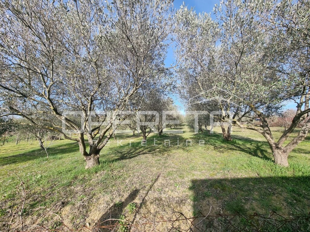 Image 6324166 - 6
