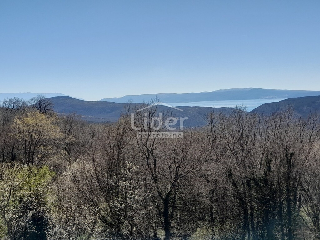 Image 6324312 - 6