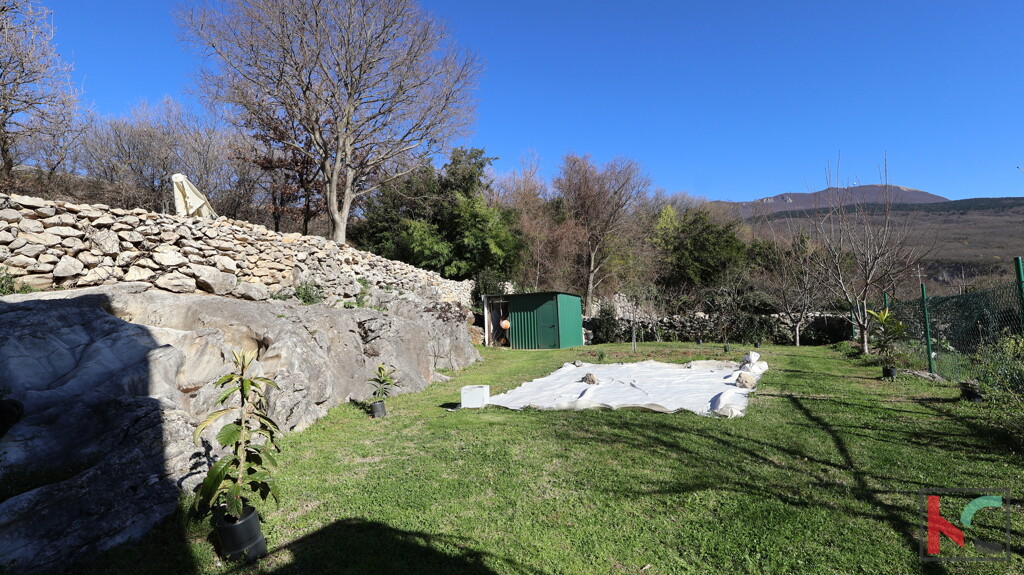 Image 6324328 - 17
