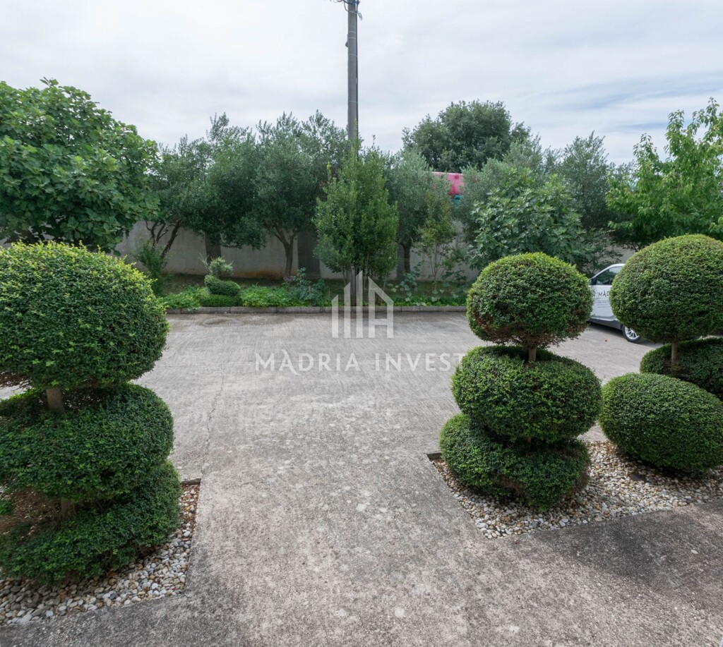 Image 6324388 - 15