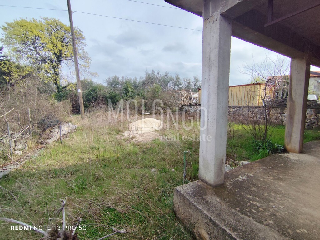 Image 6324531 - 11