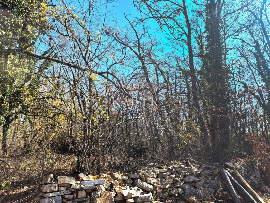 Image 6324549 - 2