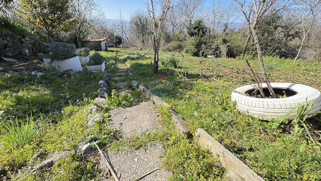 Image 6324582 - 11