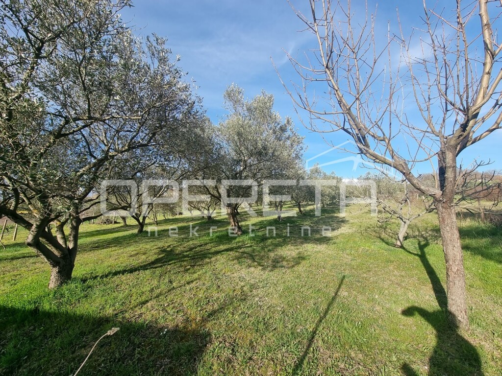 Image 6324753 - 6