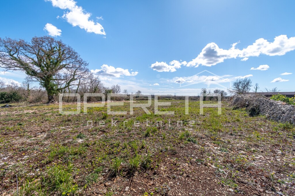 Image 6324754 - 4
