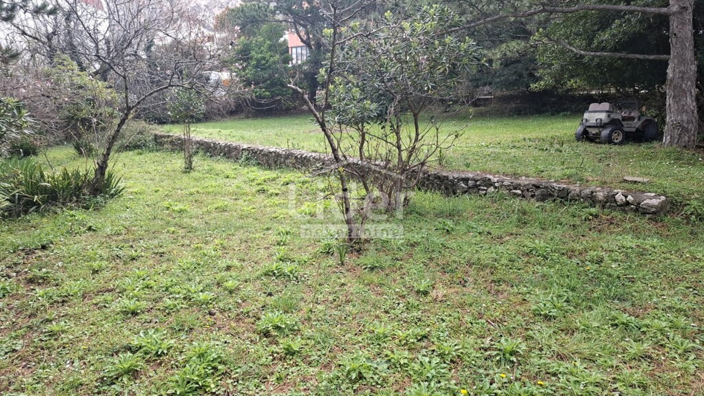 Image 6325097 - 6