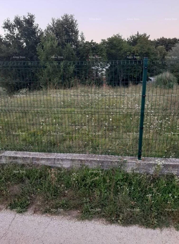 Image 6325173 - 1