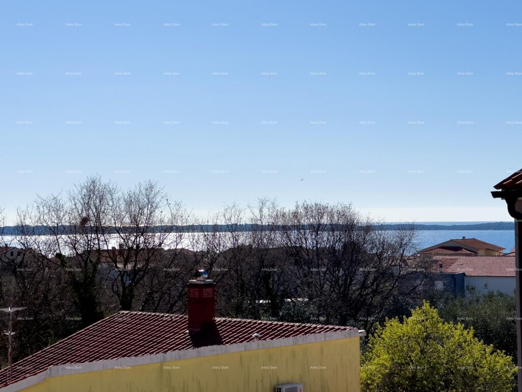 Image 6325178 - 1