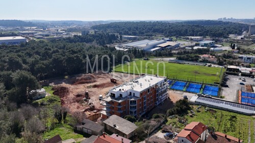 Thumbnail 6325272 - 4