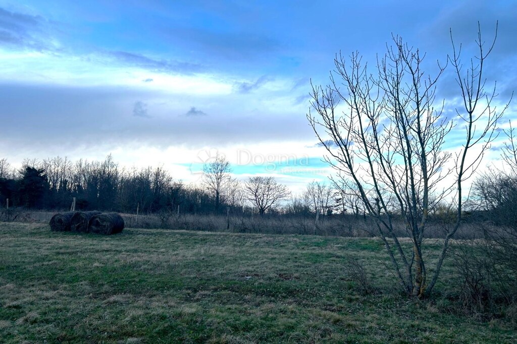 Image 6325521 - 1