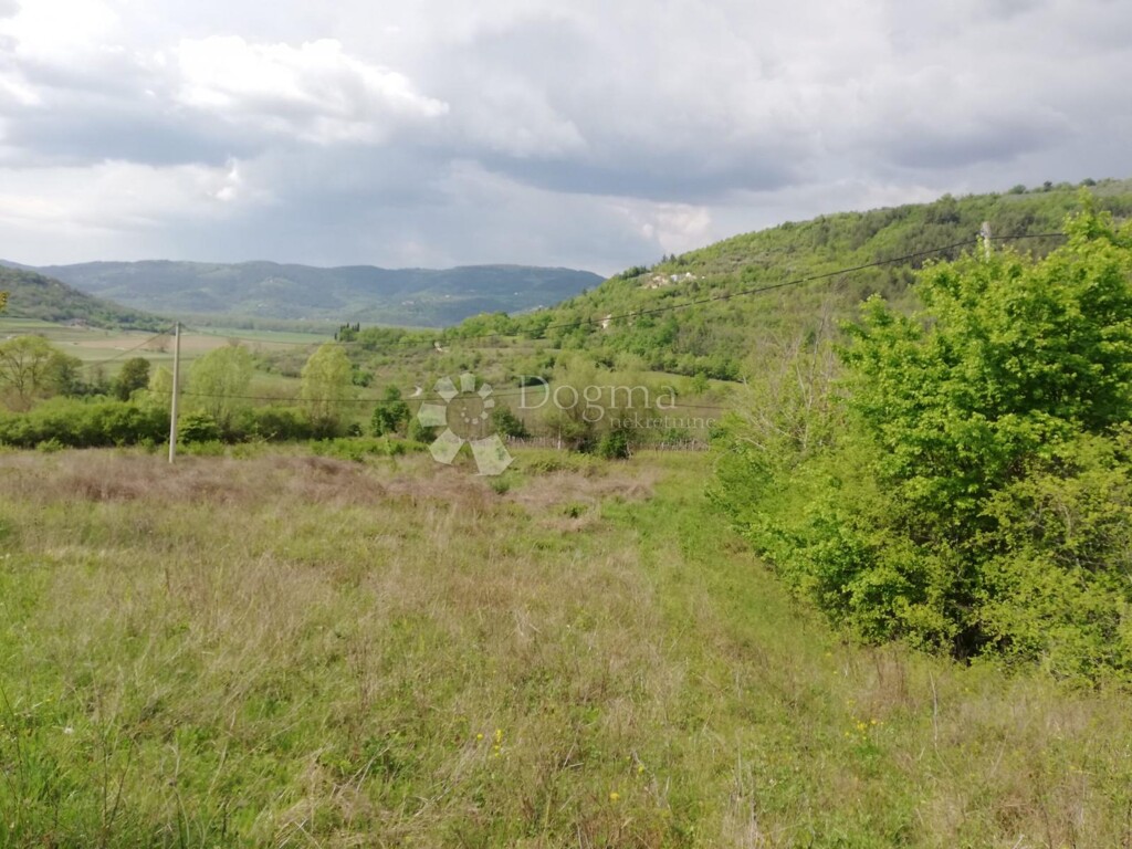 Image 6325619 - 8