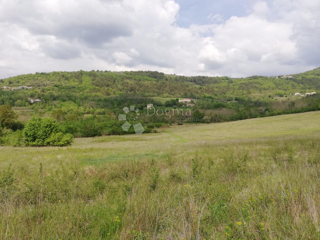 Image 6325619 - 6