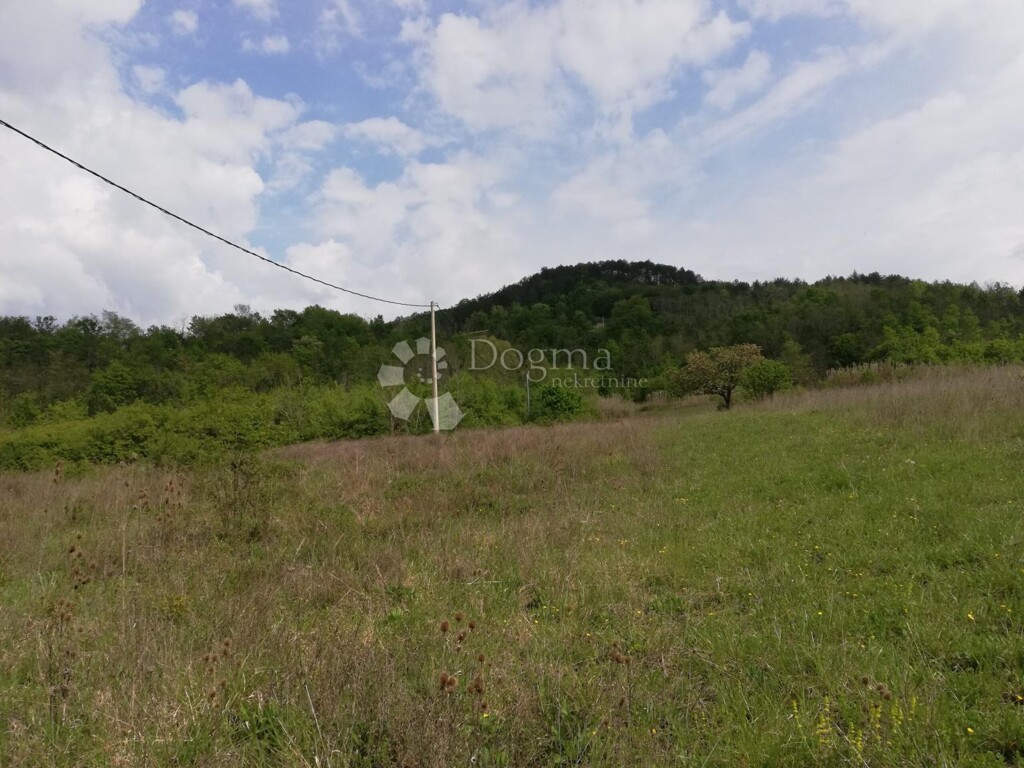Image 6325619 - 11