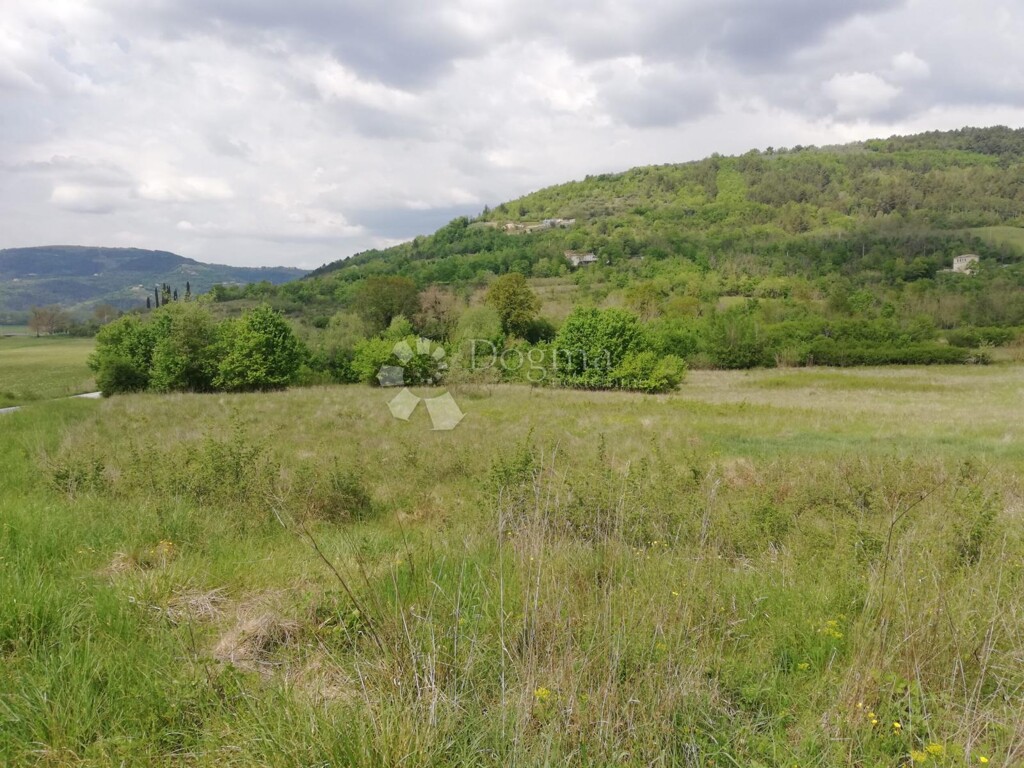 Image 6325619 - 5