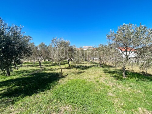 RAB, veliko zemljište za 3 apartmanske zgrade