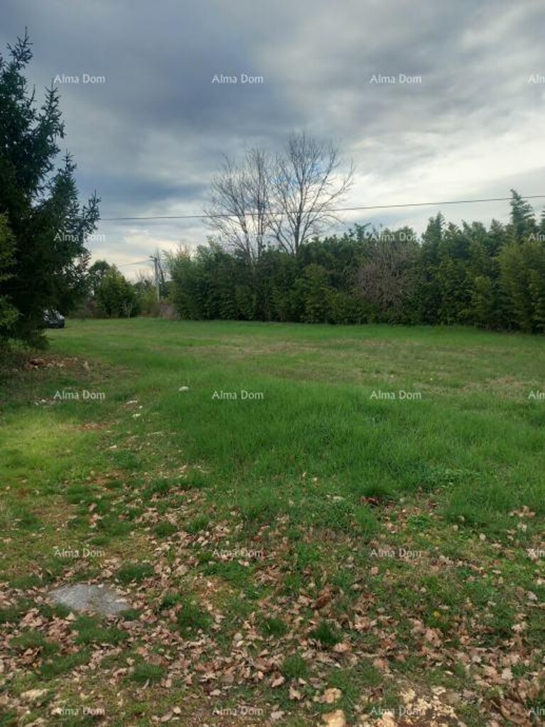 Image 6325693 - 4