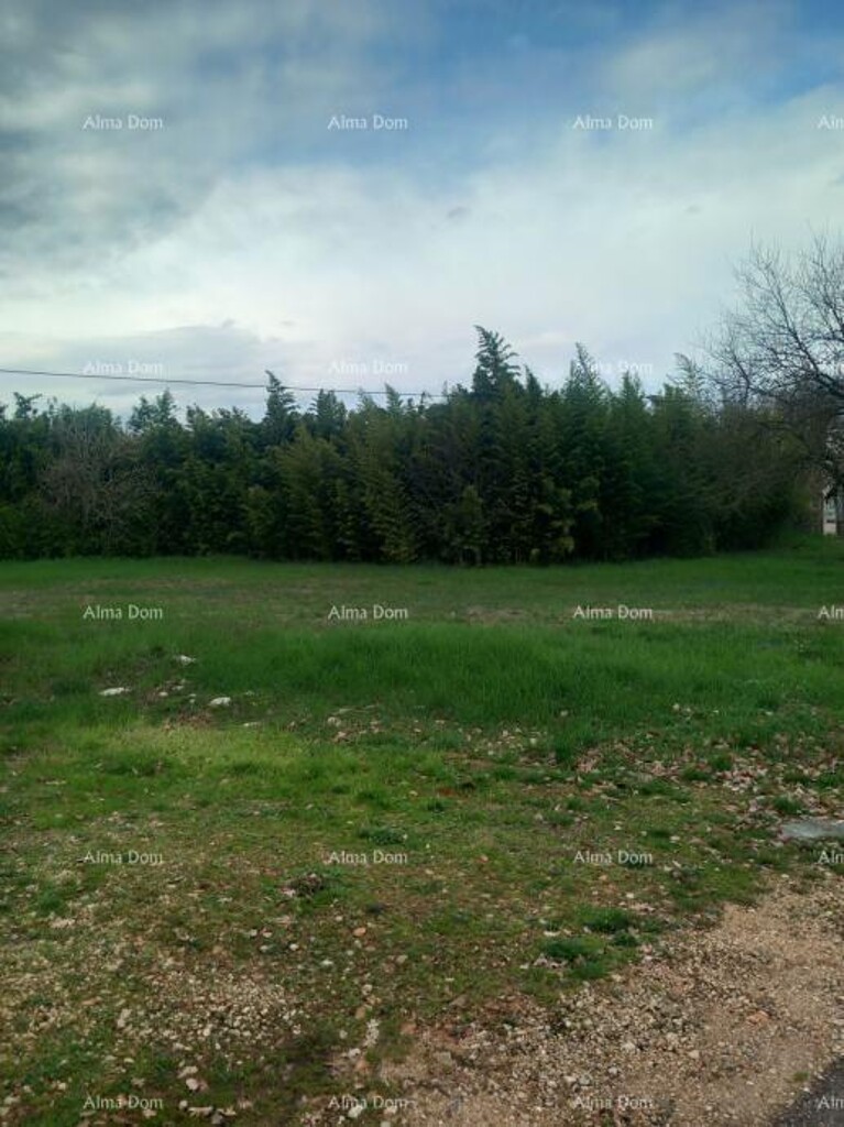 Image 6325693 - 3