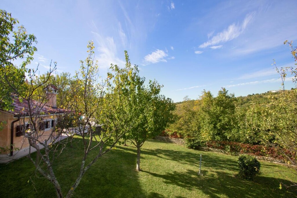 Image 6325706 - 4