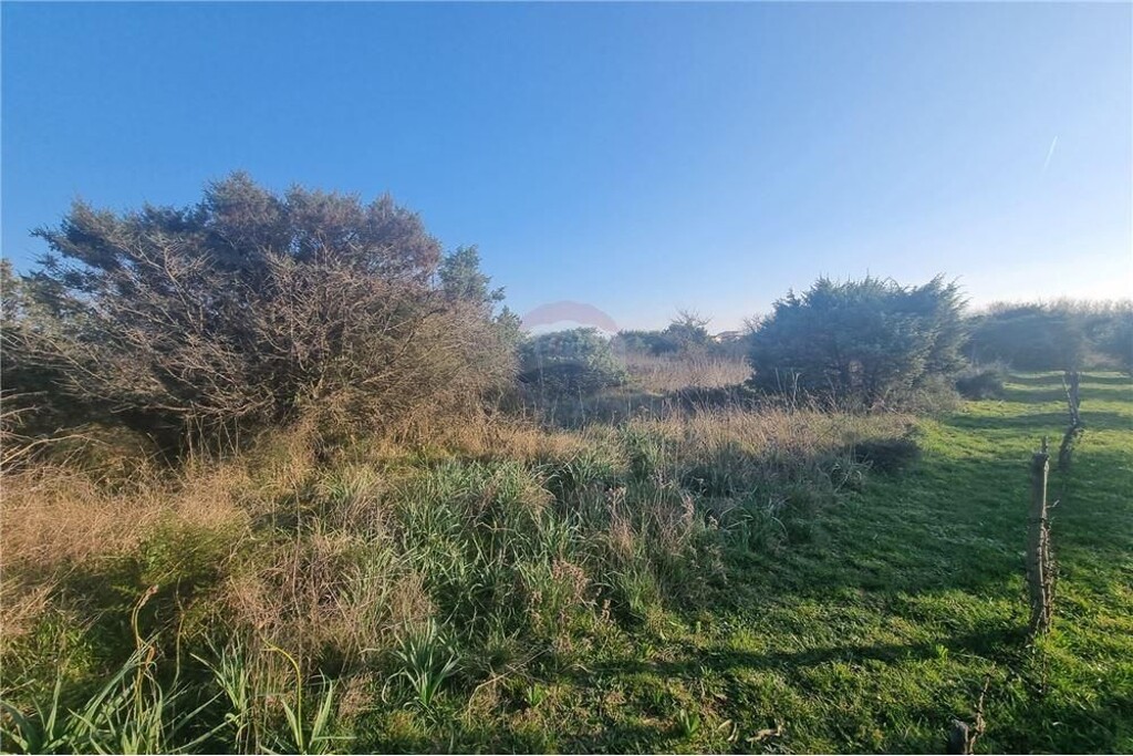 Image 6325718 - 2