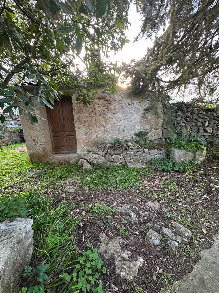 Image 6325943 - 6