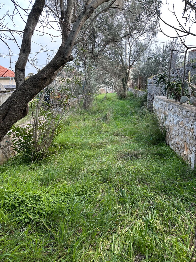 Image 6325943 - 4