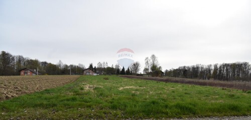 Thumbnail 6325967 - 4