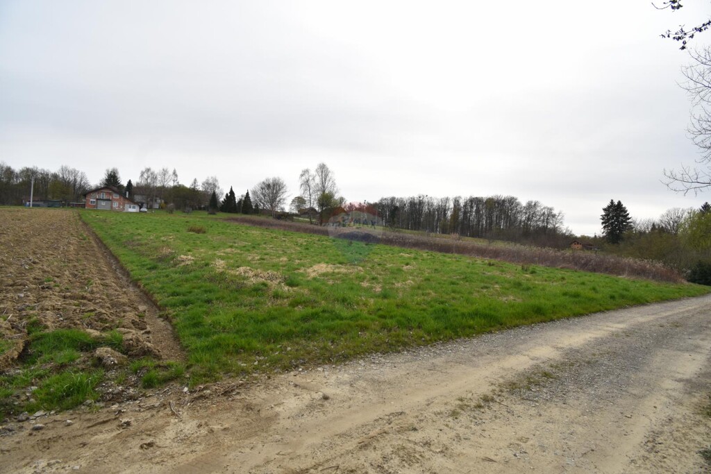 Image 6325967 - 6