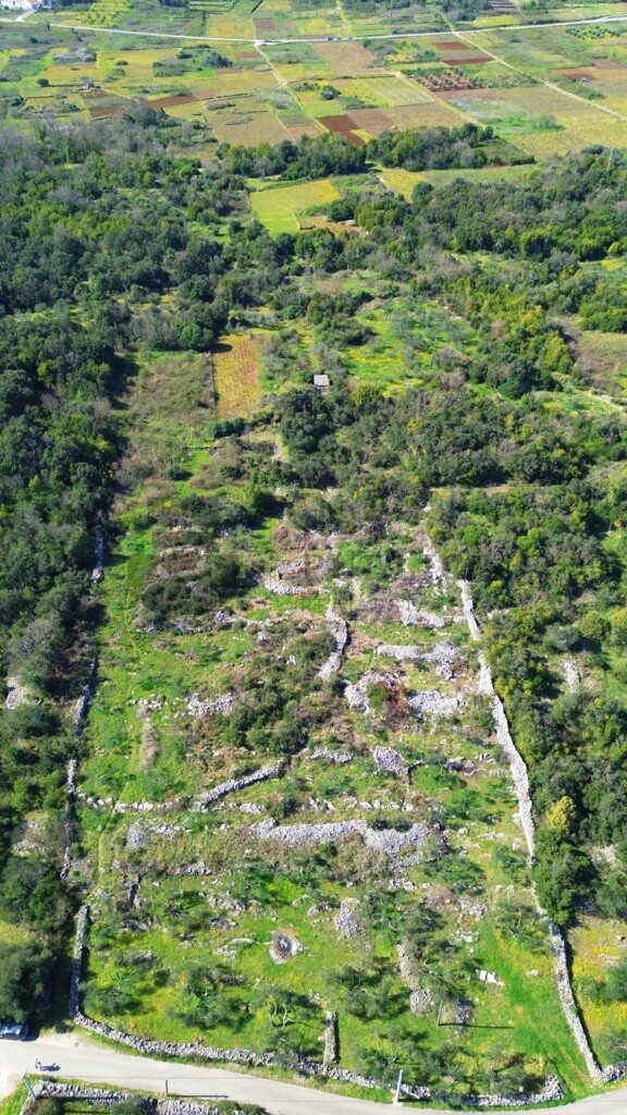 Image 6326145 - 4