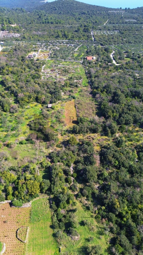 Image 6326145 - 6