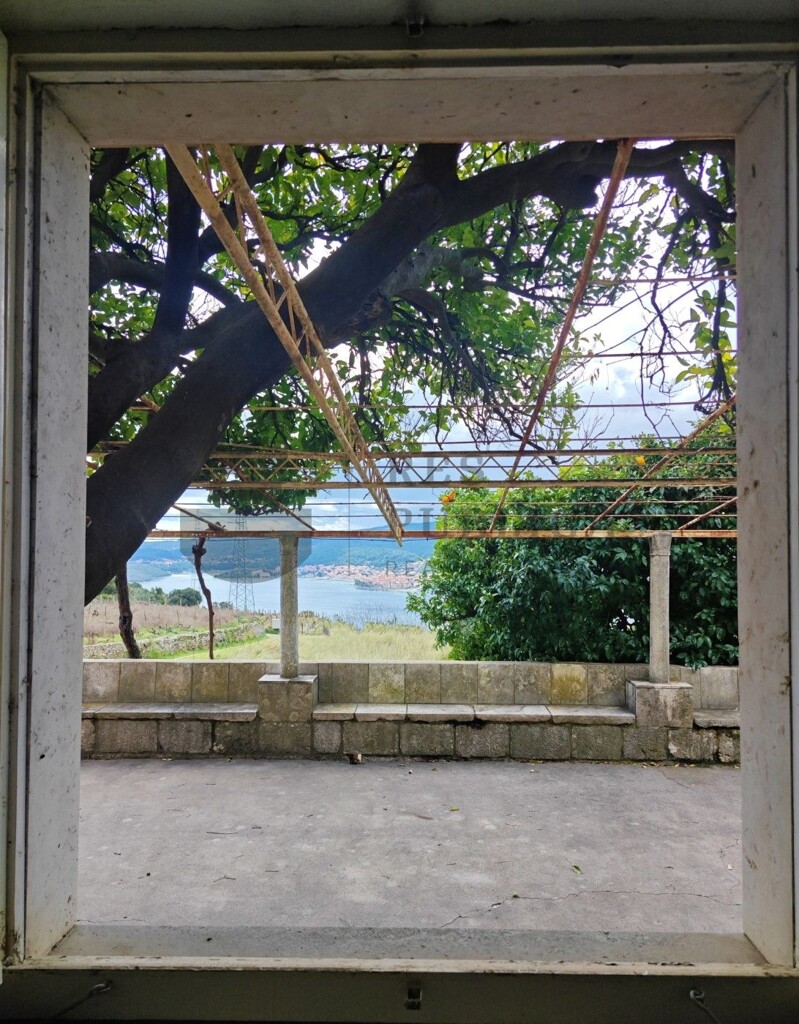 Image 6326149 - 14