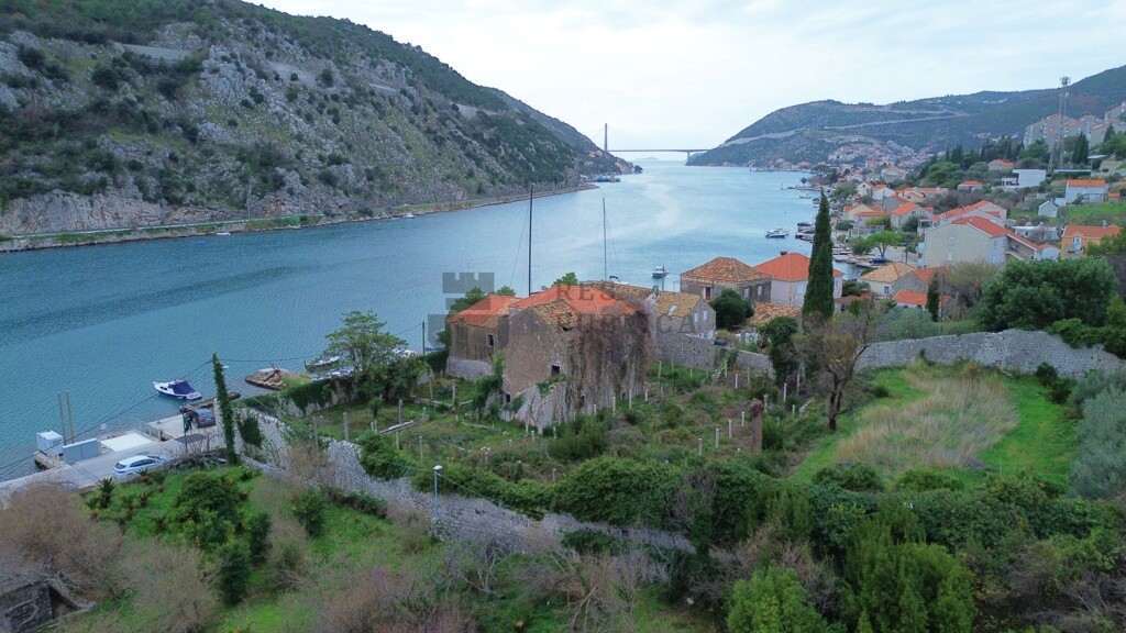 Image 6326153 - 1