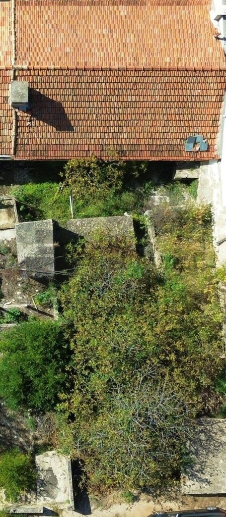 Image 6326157 - 3