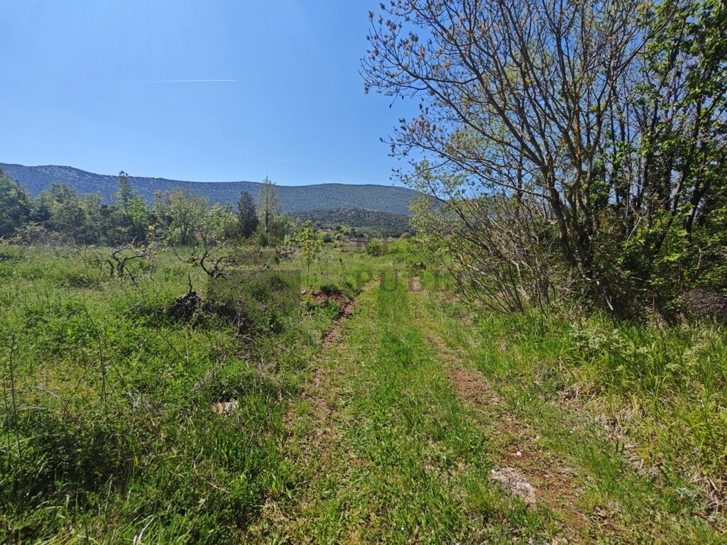 Image 6326161 - 3