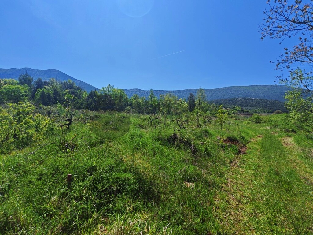 Image 6326161 - 2