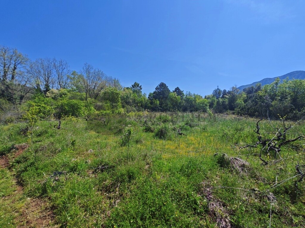 Image 6326161 - 1