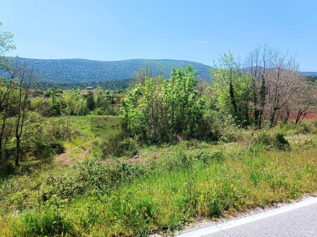 Image 6326161 - 5