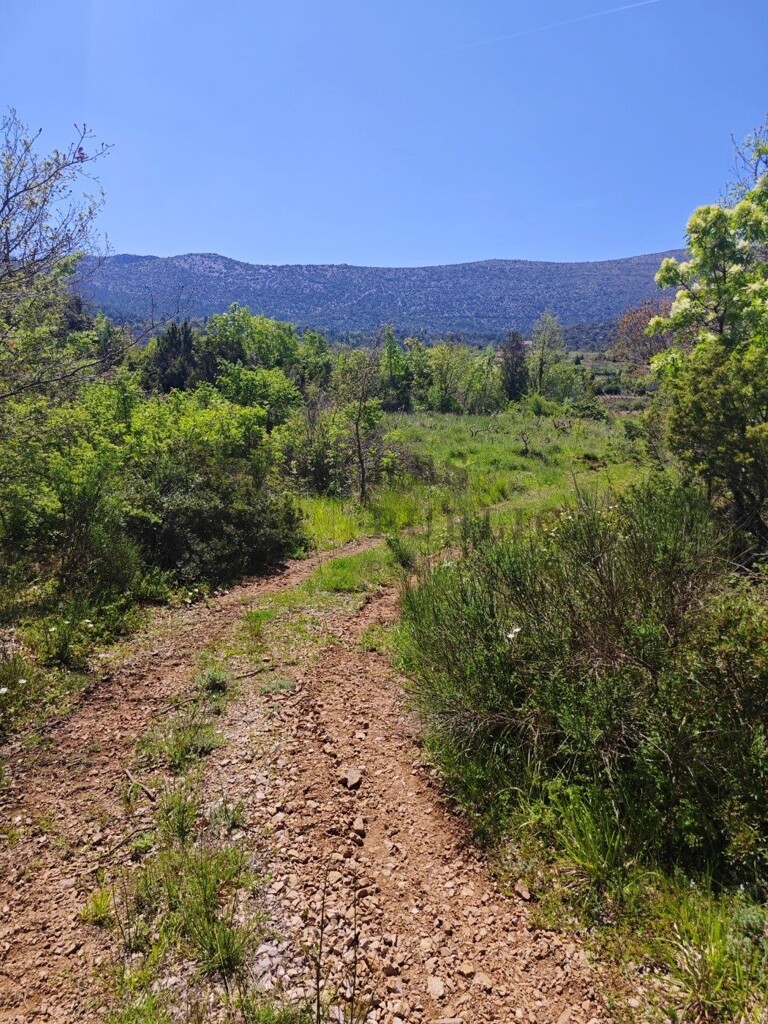 Image 6326161 - 4