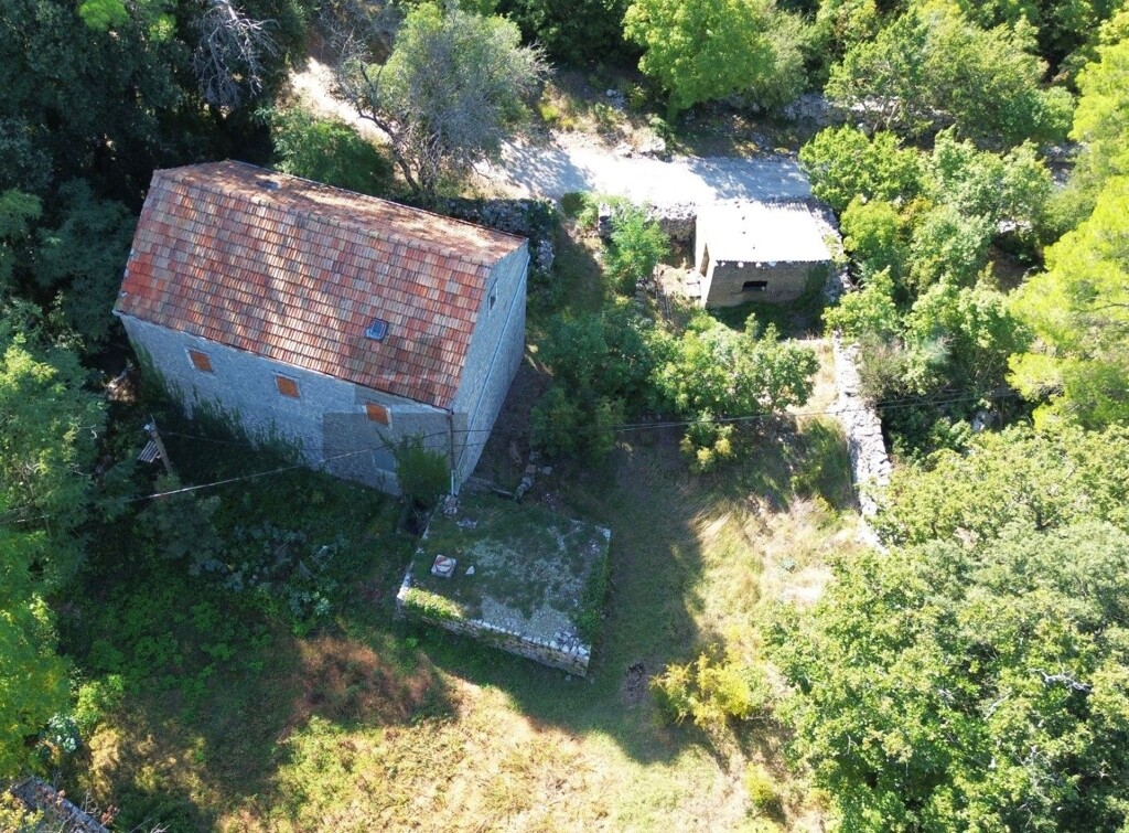 Image 6326162 - 1
