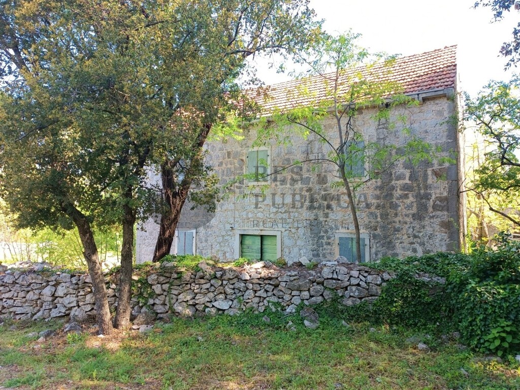 Image 6326162 - 6