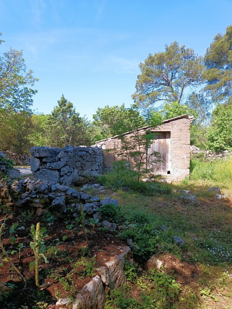 Image 6326162 - 7