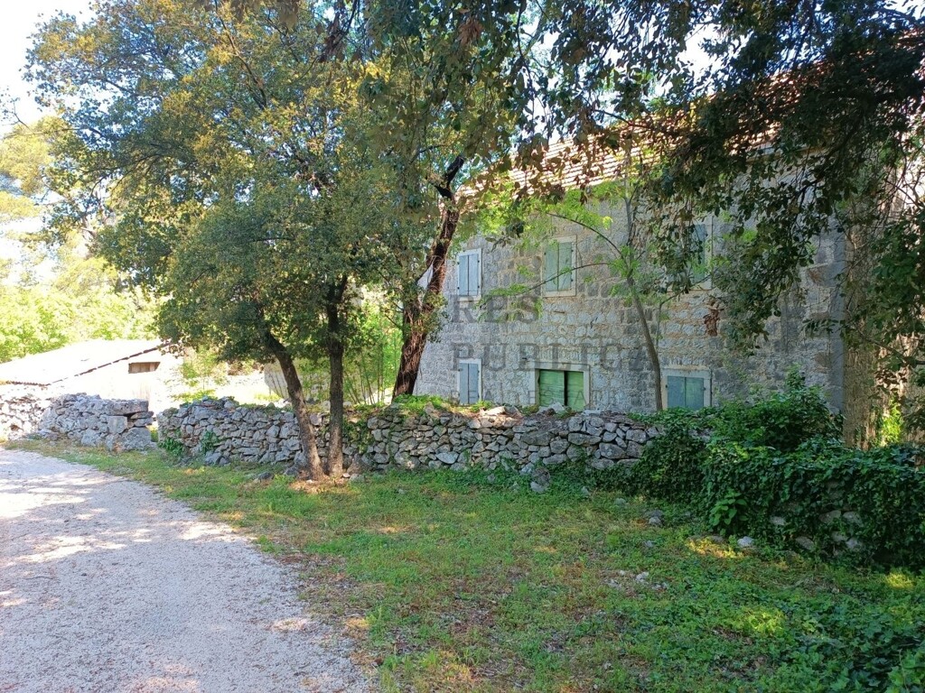 Image 6326162 - 10