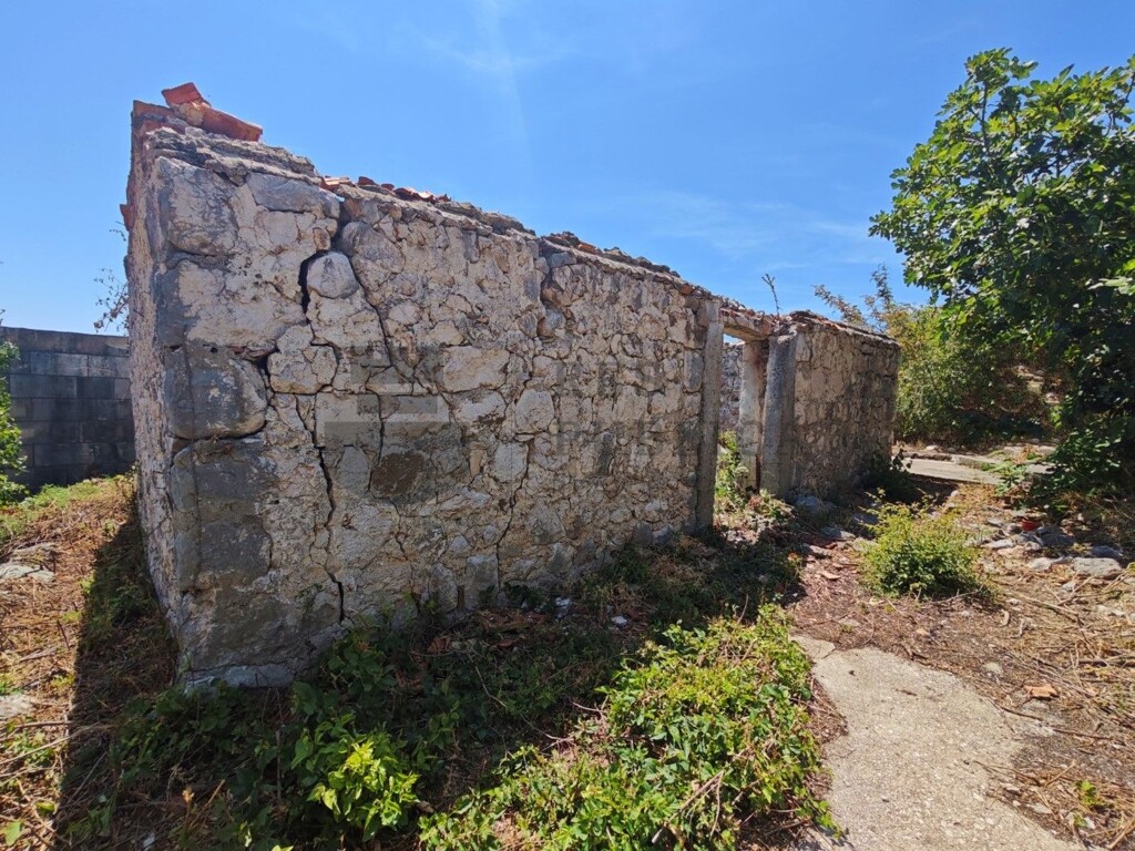 Image 6326163 - 6