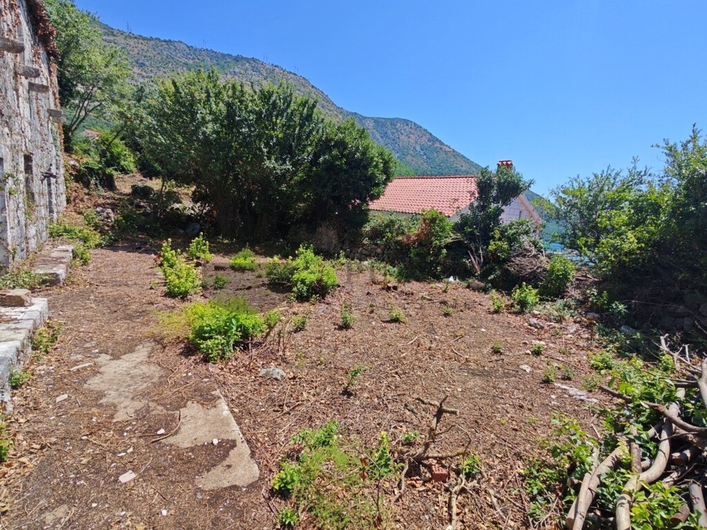 Image 6326163 - 5
