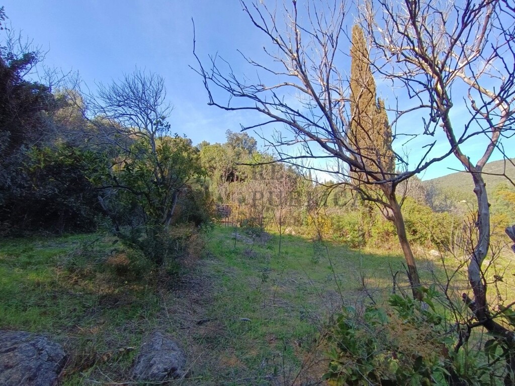Image 6326164 - 8