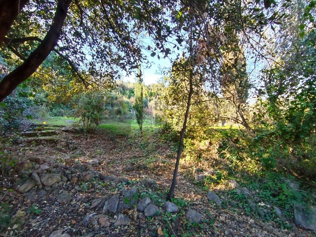 Image 6326164 - 7
