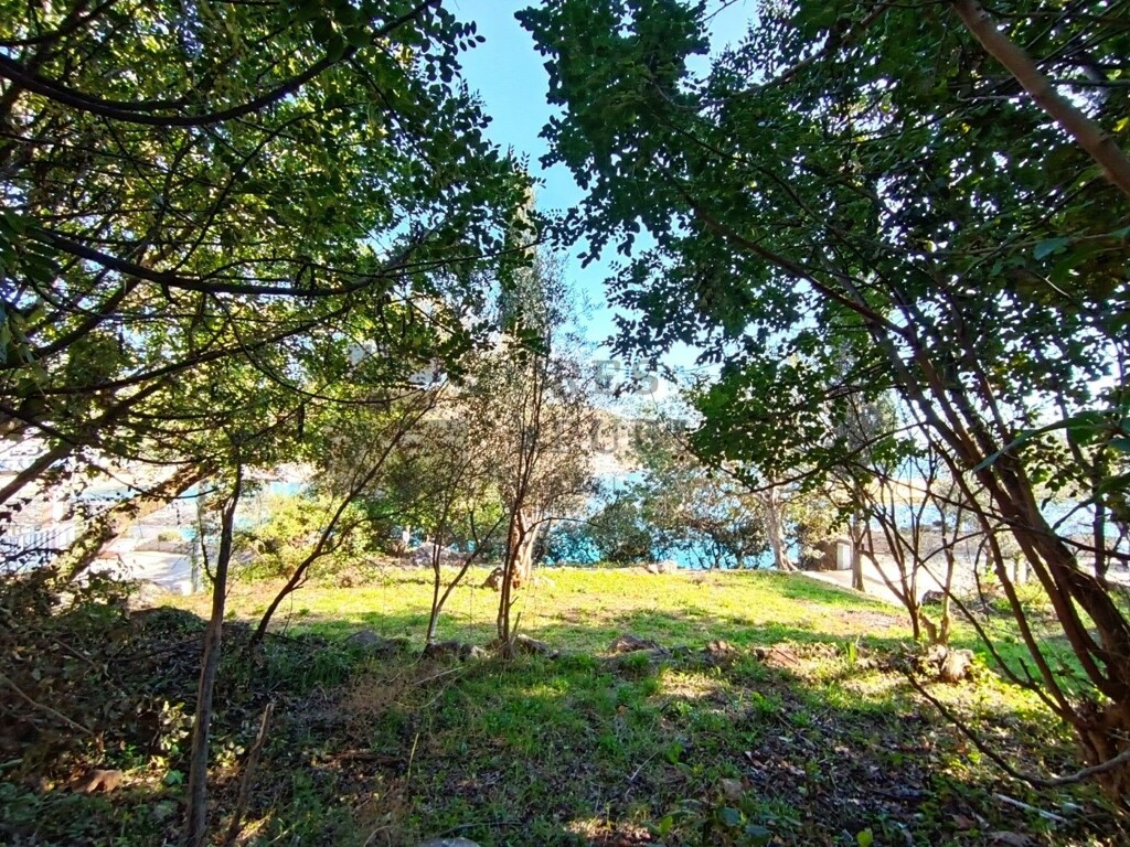 Image 6326164 - 9