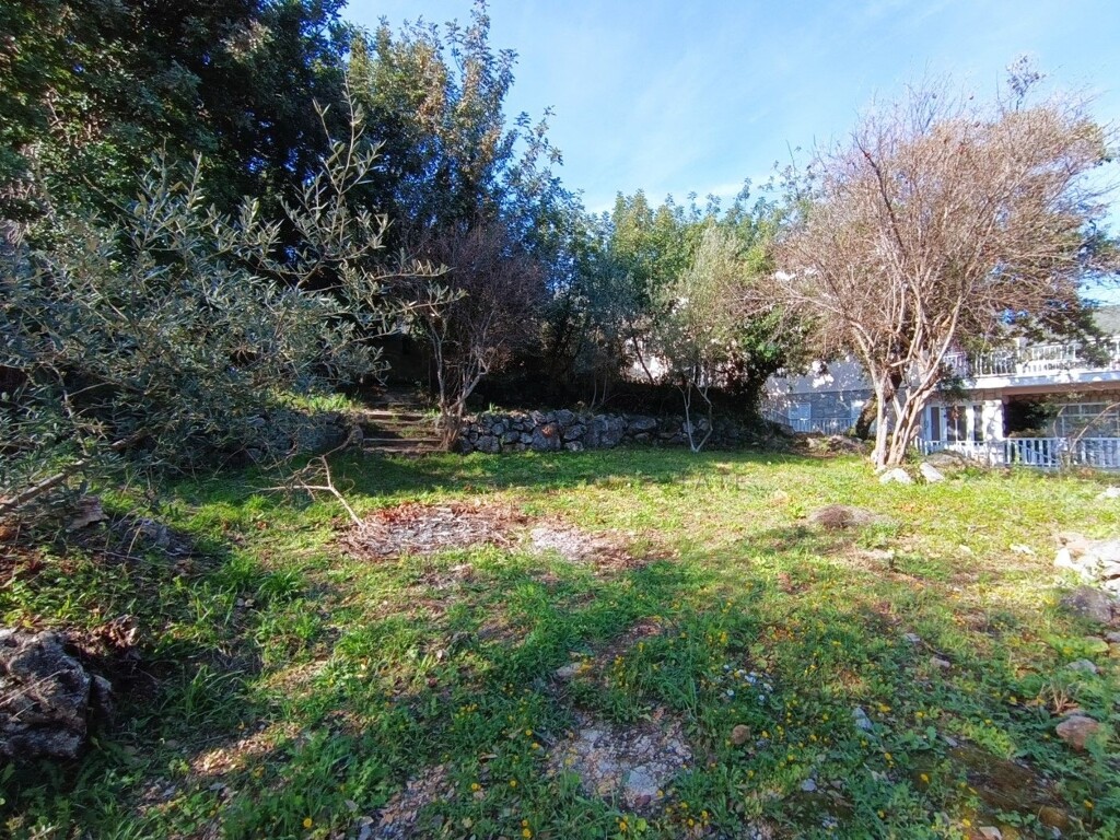 Image 6326164 - 6