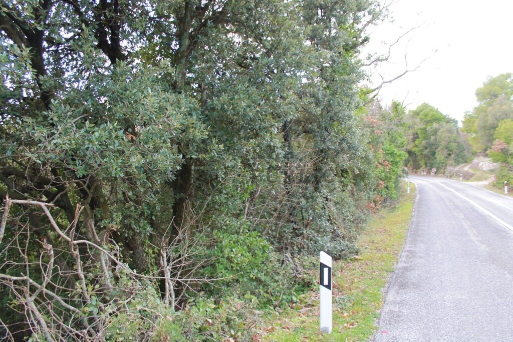 Image 6326166 - 6