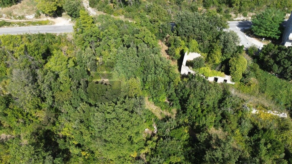 Image 6326166 - 3