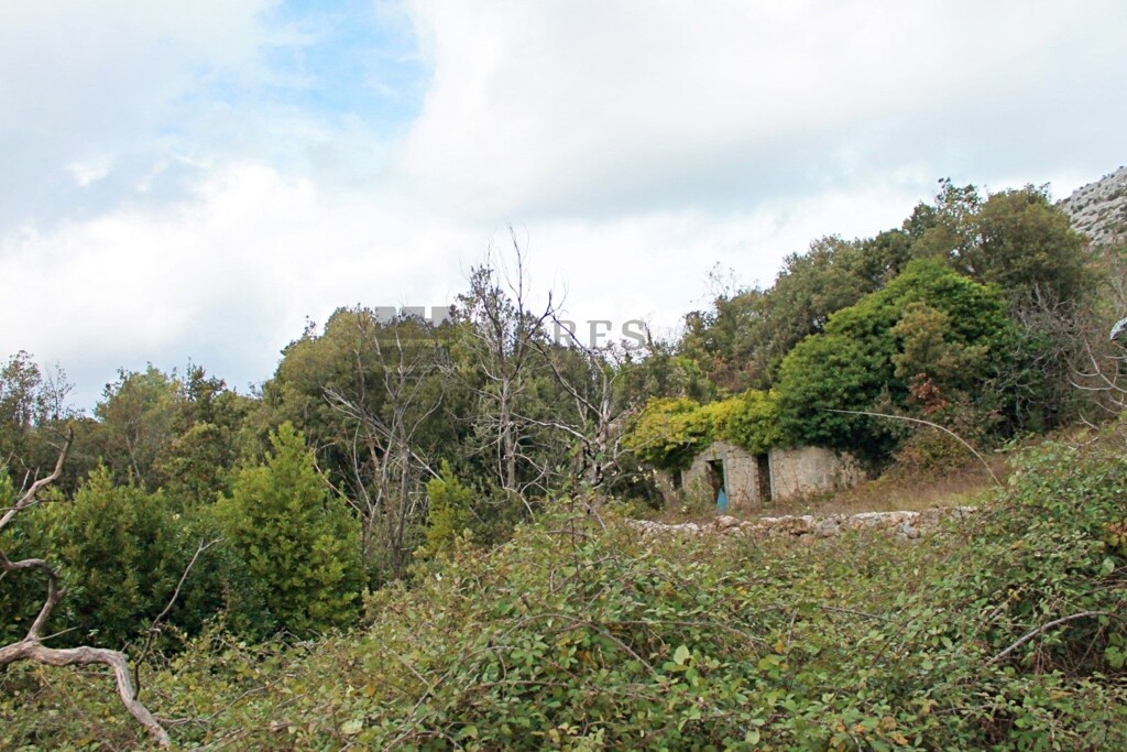 Image 6326166 - 4